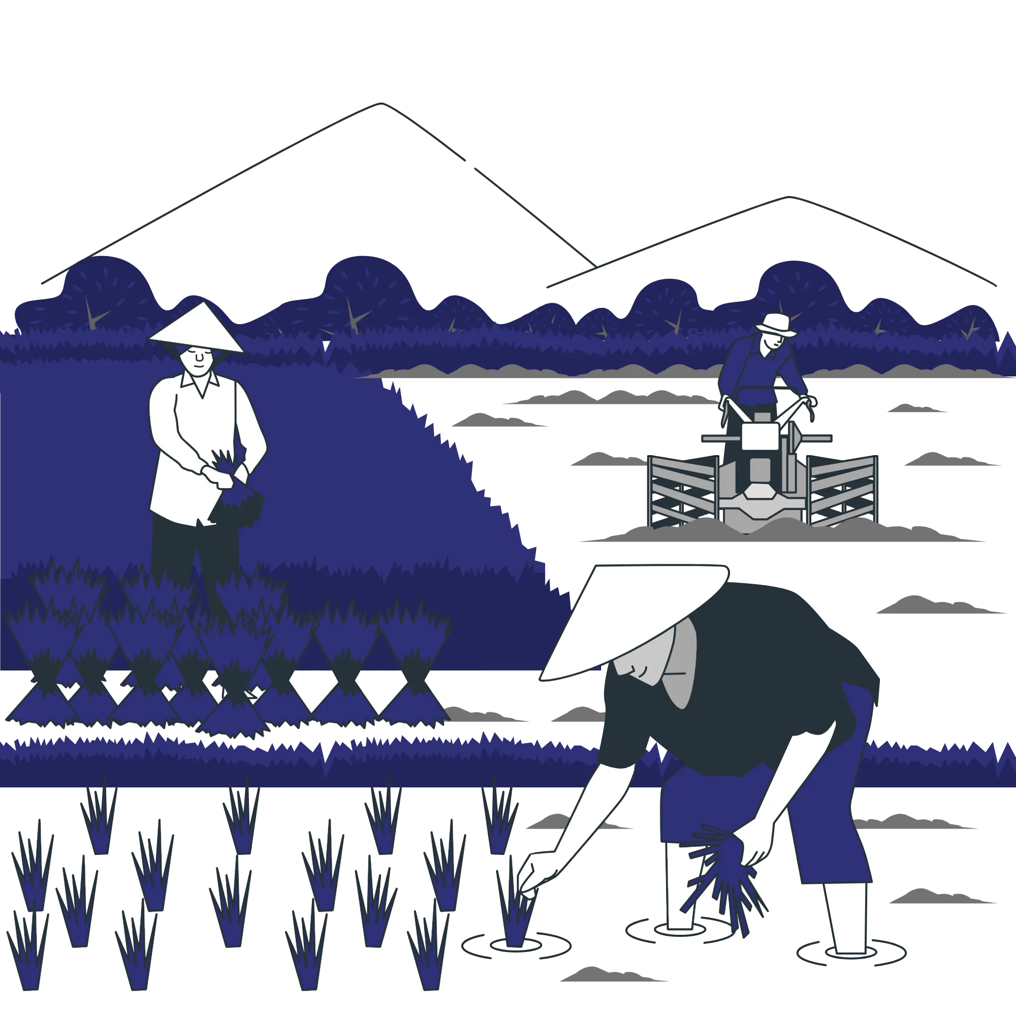 agriculture